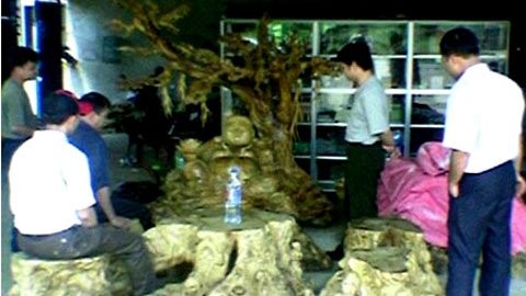 Khách hàng đang xem bộ bàn ghế và tượng ông Thần tài bằng ngọc nghiến (đang hoàn thiện) ở Loóng Luông, Mộc Châu, Sơn La.